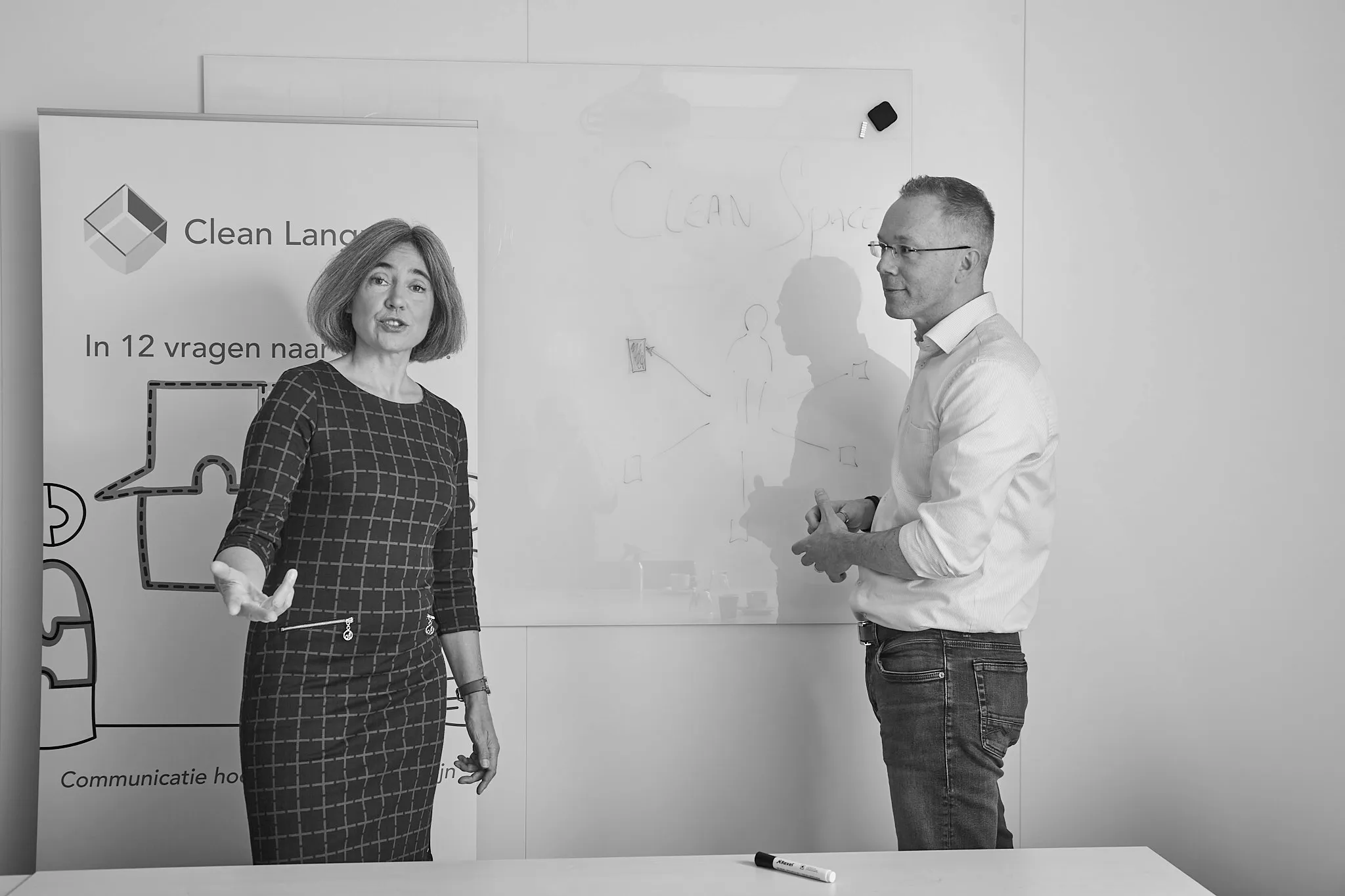 Clean Language begeleiding